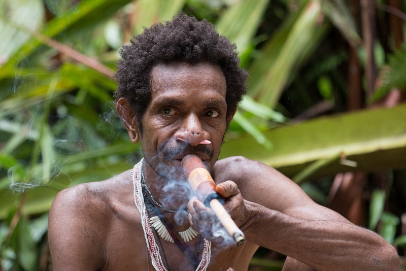 Папуа (племена короваев + Raja Ampat), на авто восточная и центральная Ява (фото).