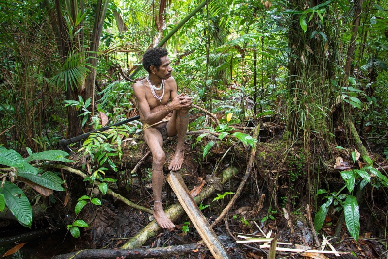 Папуа (племена короваев + Raja Ampat), на авто восточная и центральная Ява (фото).