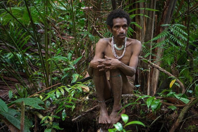 Папуа (племена короваев + Raja Ampat), на авто восточная и центральная Ява (фото).