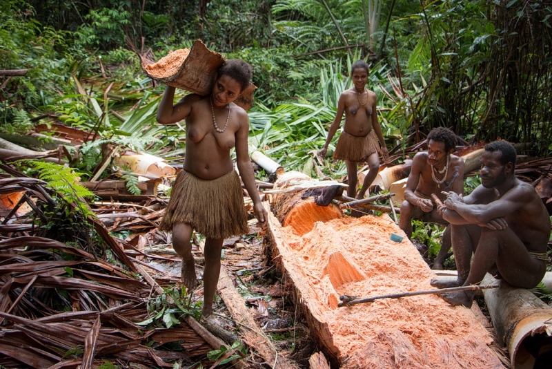 Папуа (племена короваев + Raja Ampat), на авто восточная и центральная Ява (фото).