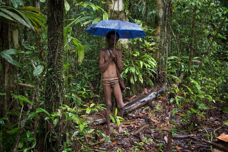 Папуа (племена короваев + Raja Ampat), на авто восточная и центральная Ява (фото). Папуа (племена короваев + Raja Ampat), на авто восточная и центральная Ява (фото).