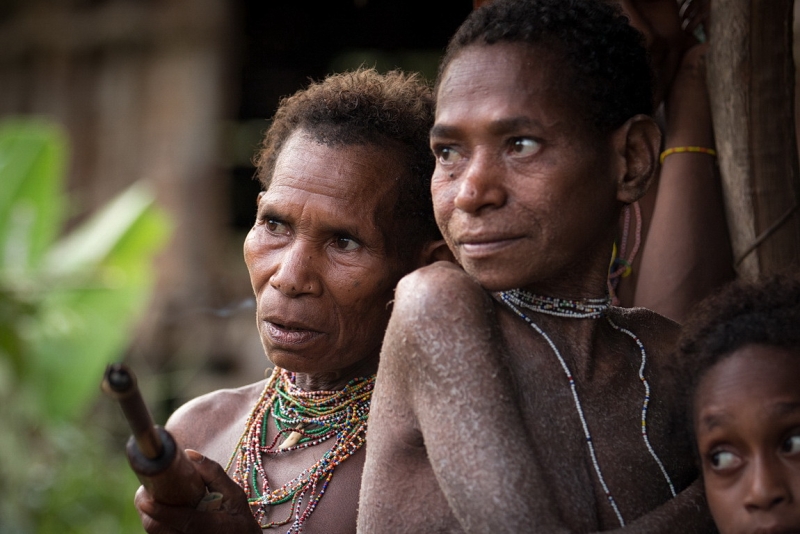 Папуа (племена короваев + Raja Ampat), на авто восточная и центральная Ява (фото).