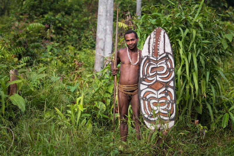 Папуа (племена короваев + Raja Ampat), на авто восточная и центральная Ява (фото).