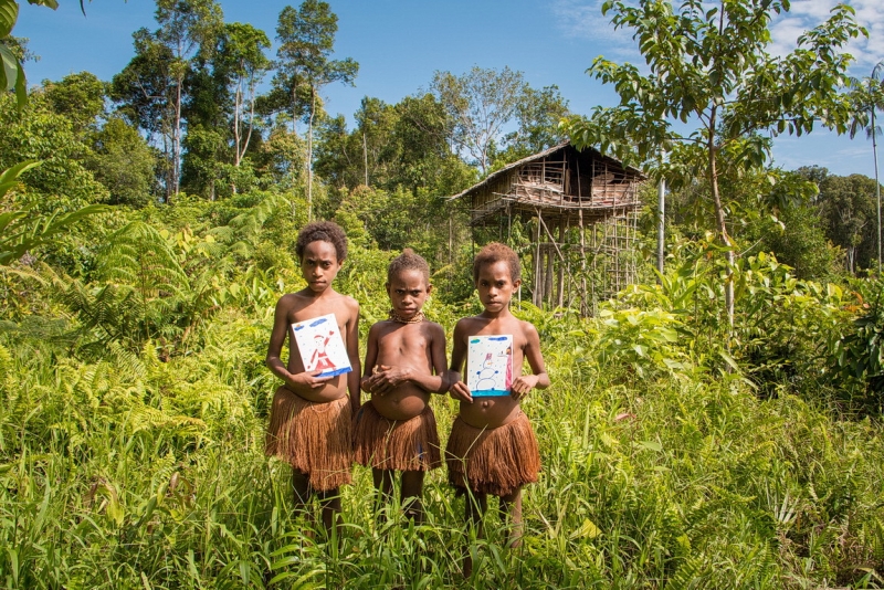 Папуа (племена короваев + Raja Ampat), на авто восточная и центральная Ява (фото). Папуа (племена короваев + Raja Ampat), на авто восточная и центральная Ява (фото).