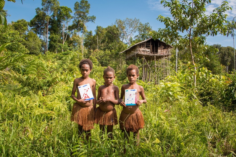 Папуа (племена короваев + Raja Ampat), на авто восточная и центральная Ява (фото).