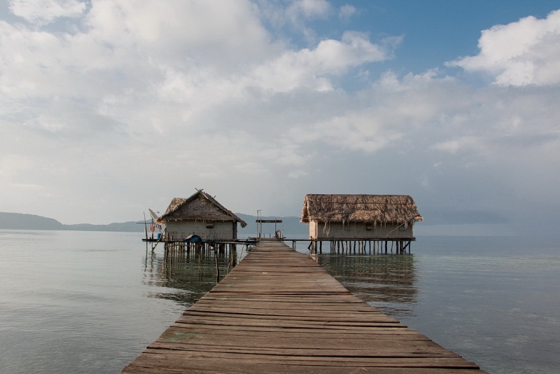 Папуа (племена короваев + Raja Ampat), на авто восточная и центральная Ява (фото).