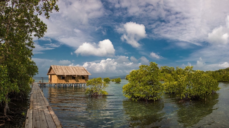 Папуа (племена короваев + Raja Ampat), на авто восточная и центральная Ява (фото).