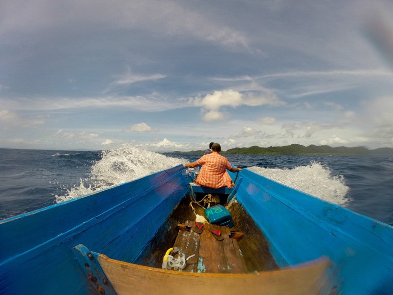 Папуа (племена короваев + Raja Ampat), на авто восточная и центральная Ява (фото).