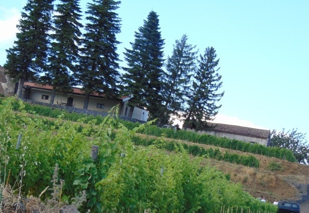 Мой "кусочек" Сицилии! июль 2014.