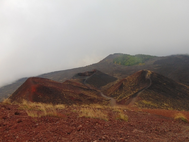 Мой "кусочек" Сицилии! июль 2014.
