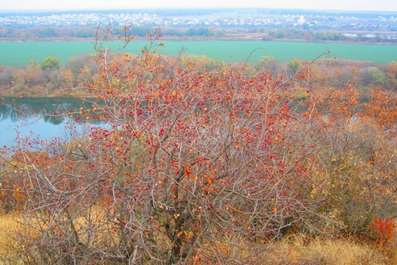 городской и сельский пейзаж, фотографии
