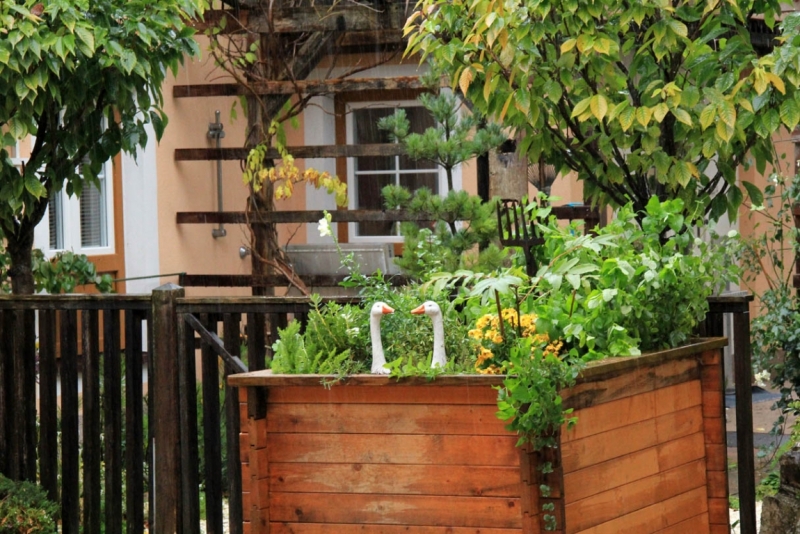 Австрия с востока на запад и обратно, с дождем и термами в октябре 2014