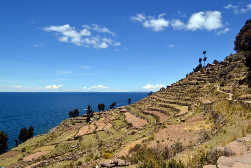 Инки, горы...и картошка. 16 дней в Перу.