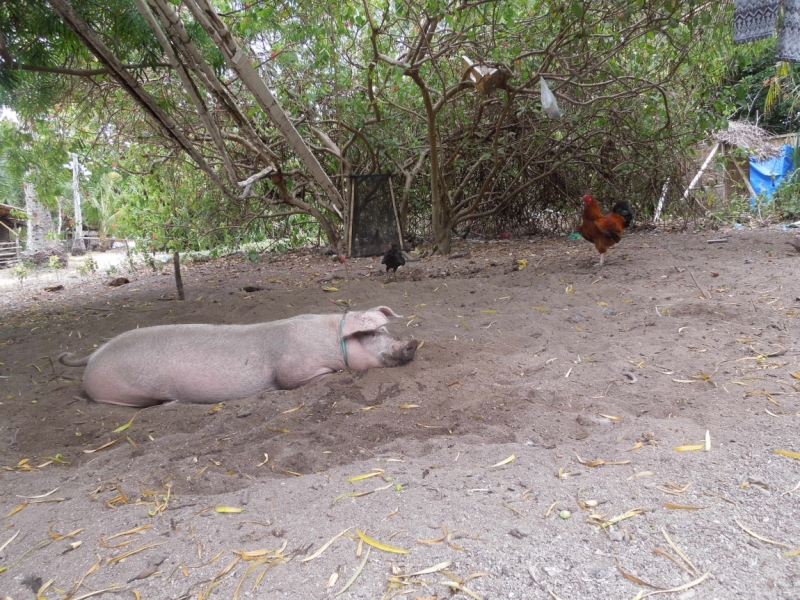 Мои Филиппины (Москва-Шанхай-Манила-Боракай-Панглао-Себу-Палаван-Корон. Май-июнь 2014.)