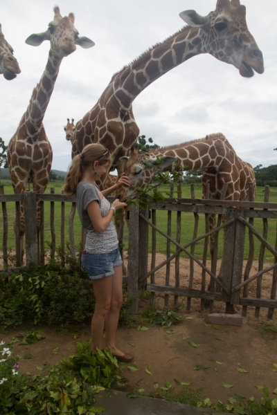 Мои Филиппины (Москва-Шанхай-Манила-Боракай-Панглао-Себу-Палаван-Корон. Май-июнь 2014.)