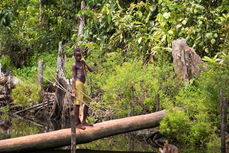 Папуа (племена короваев + Raja Ampat), на авто восточная и центральная Ява (фото).