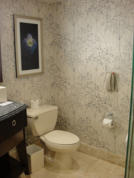 Город грехов и дитя любви: 20 дней в Америке и круиз на Allure of the Seas