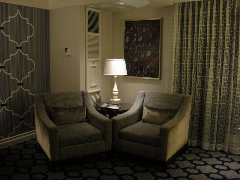Город грехов и дитя любви: 20 дней в Америке и круиз на Allure of the Seas