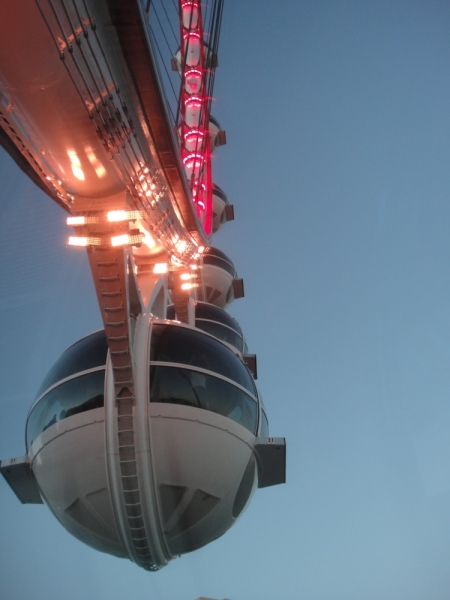 Город грехов и дитя любви: 20 дней в Америке и круиз на Allure of the Seas