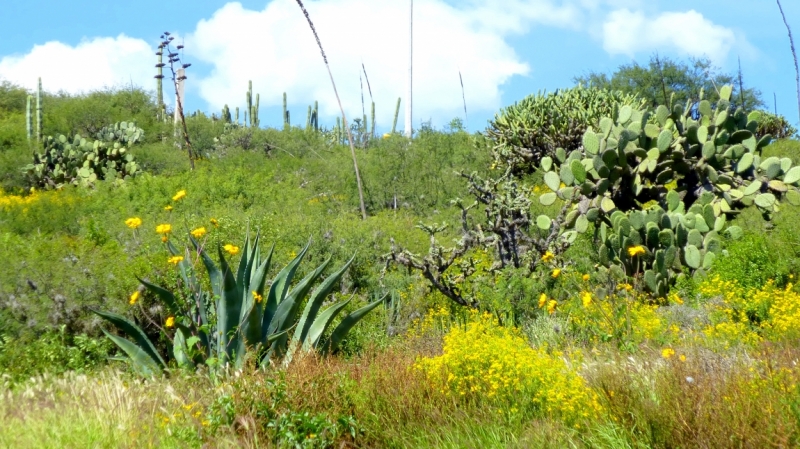 Как я купил мотоцикл в Бриджпорте, и проехал на нём по Америке.