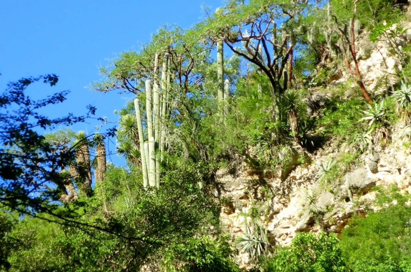 Как я купил мотоцикл в Бриджпорте, и проехал на нём по Америке.