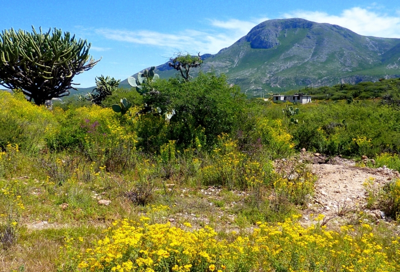 Как я купил мотоцикл в Бриджпорте, и проехал на нём по Америке.