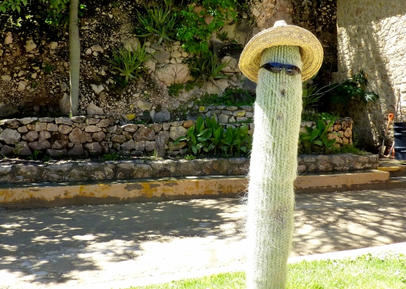 Как я купил мотоцикл в Бриджпорте, и проехал на нём по Америке.