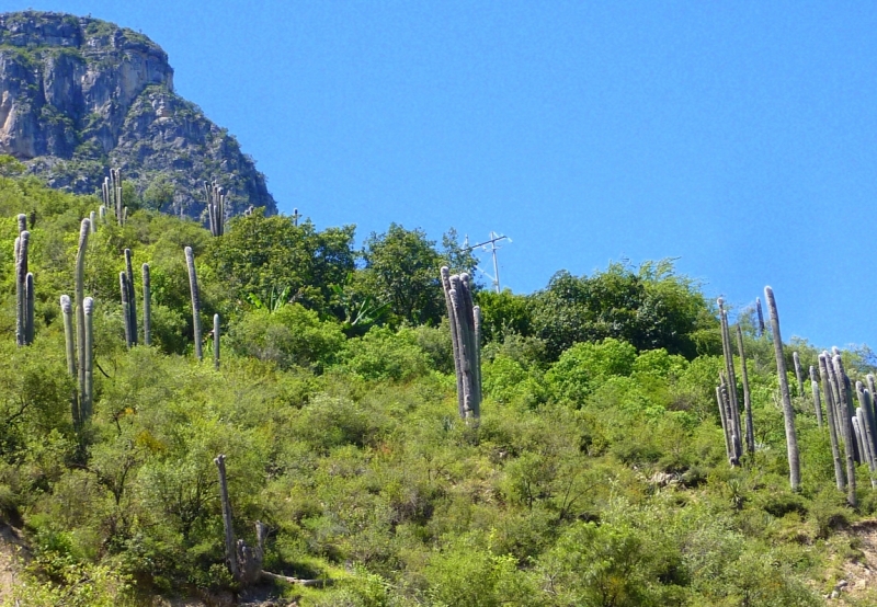 Как я купил мотоцикл в Бриджпорте, и проехал на нём по Америке.