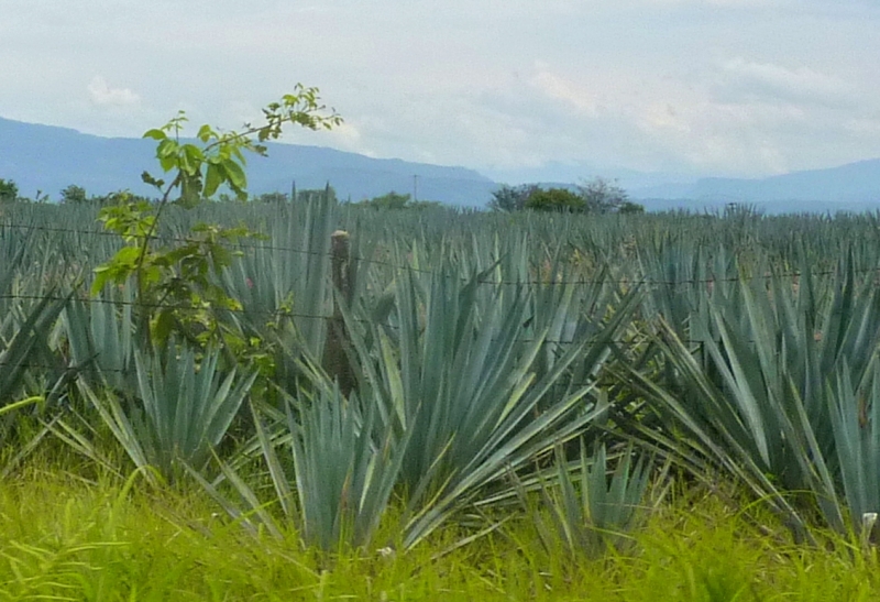 Как я купил мотоцикл в Бриджпорте, и проехал на нём по Америке.