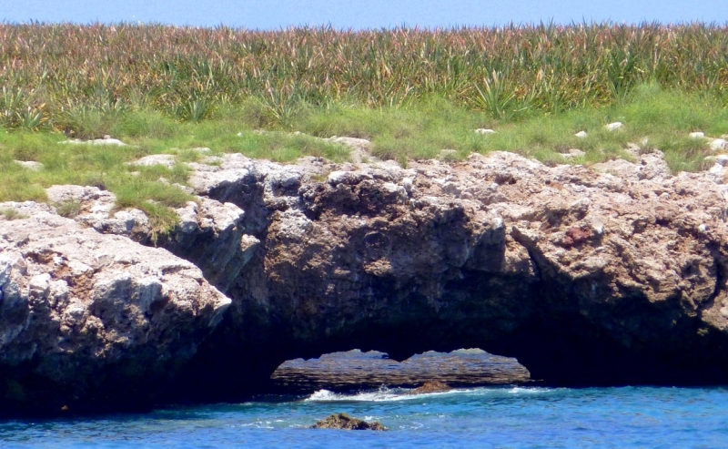 Как я купил мотоцикл в Бриджпорте, и проехал на нём по Америке.