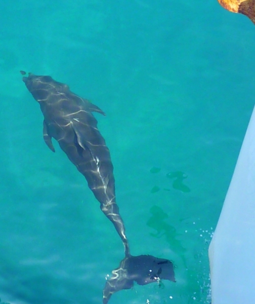 Как я купил мотоцикл в Бриджпорте, и проехал на нём по Америке.