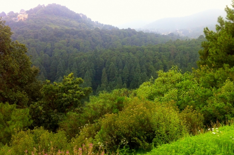 Как я купил мотоцикл в Бриджпорте, и проехал на нём по Америке.