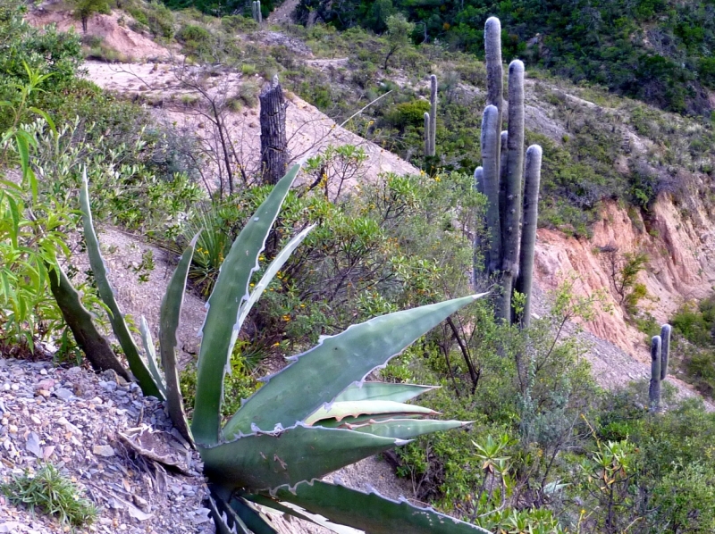 Как я купил мотоцикл в Бриджпорте, и проехал на нём по Америке.
