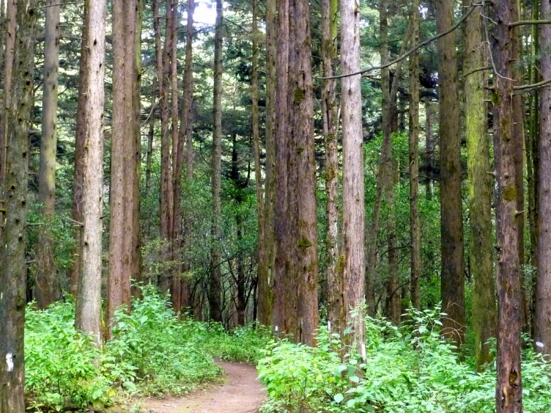 Как я купил мотоцикл в Бриджпорте, и проехал на нём по Америке.