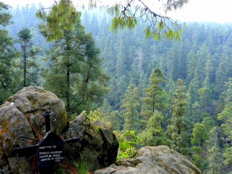 Как я купил мотоцикл в Бриджпорте, и проехал на нём по Америке.