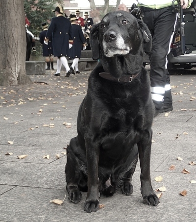 Европейская прелюдия осени в обнимку с фотоаппаратом!