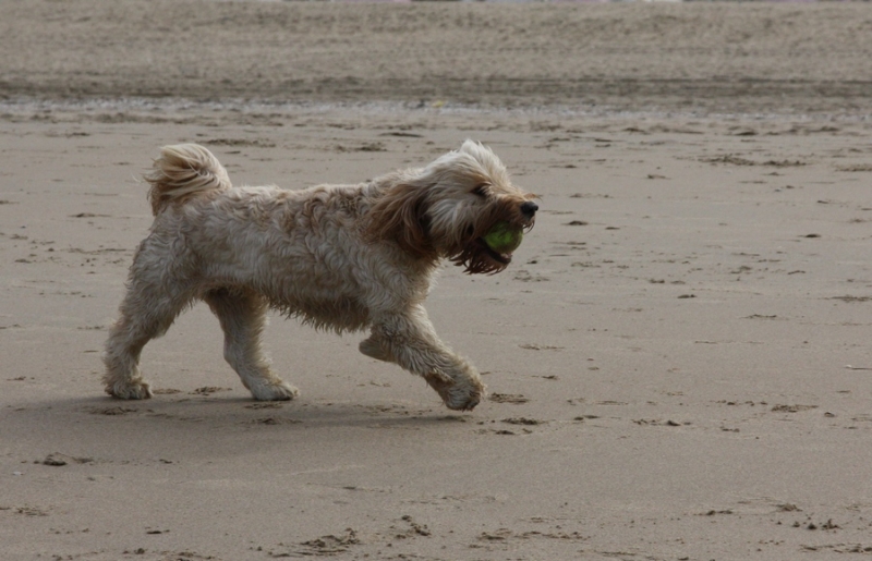 Европейская прелюдия осени в обнимку с фотоаппаратом!