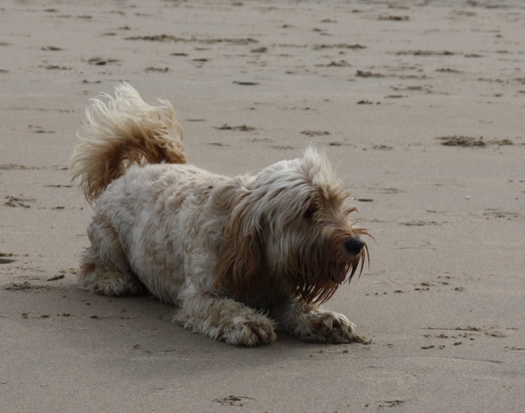 Европейская прелюдия осени в обнимку с фотоаппаратом!