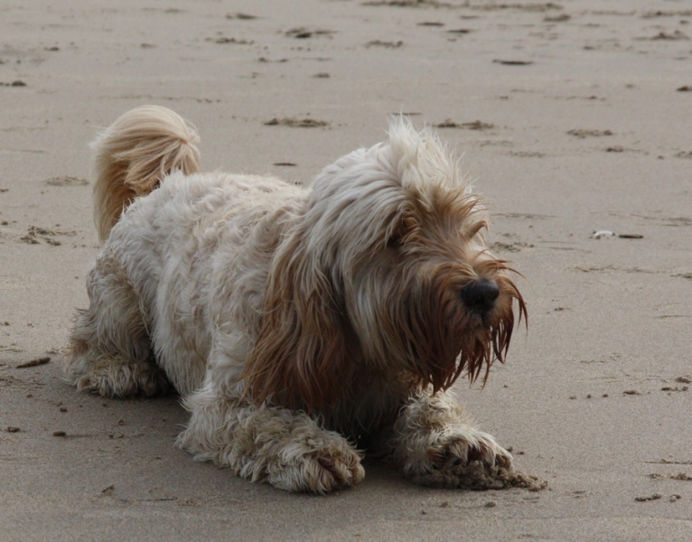 Европейская прелюдия осени в обнимку с фотоаппаратом!