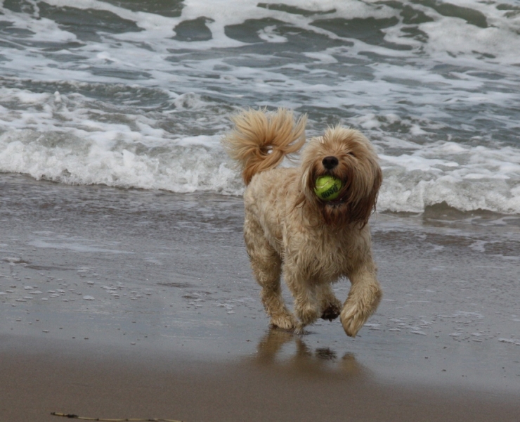 Европейская прелюдия осени в обнимку с фотоаппаратом!