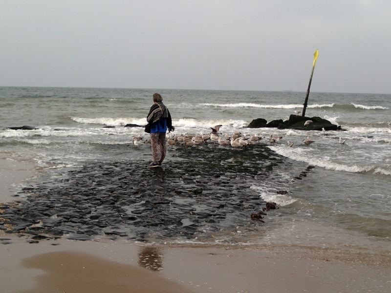 Европейская прелюдия осени в обнимку с фотоаппаратом!