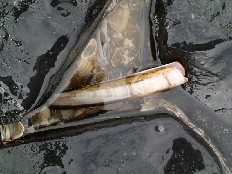 Европейская прелюдия осени в обнимку с фотоаппаратом!