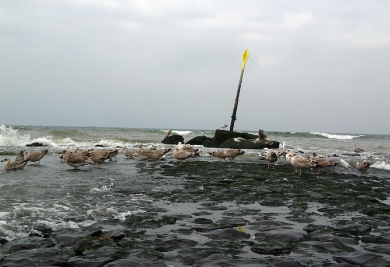 Европейская прелюдия осени в обнимку с фотоаппаратом!