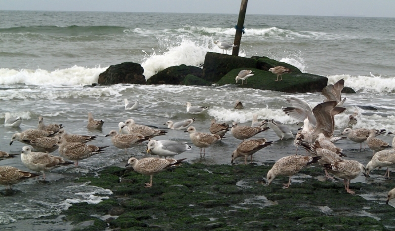 Европейская прелюдия осени в обнимку с фотоаппаратом!