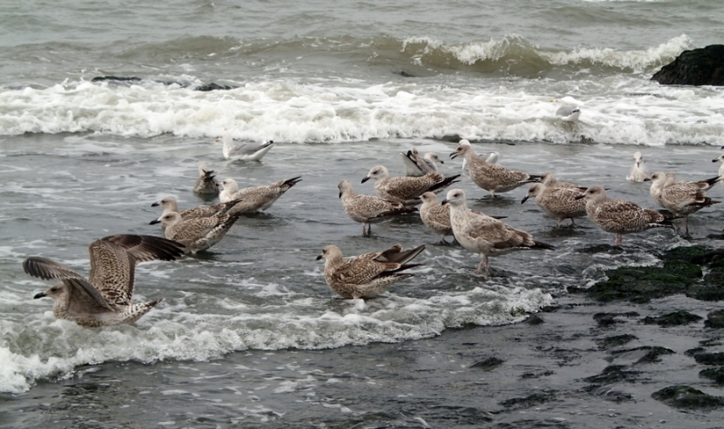Европейская прелюдия осени в обнимку с фотоаппаратом!