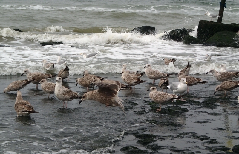 Европейская прелюдия осени в обнимку с фотоаппаратом!