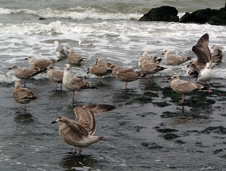 Европейская прелюдия осени в обнимку с фотоаппаратом!