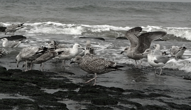 Европейская прелюдия осени в обнимку с фотоаппаратом!