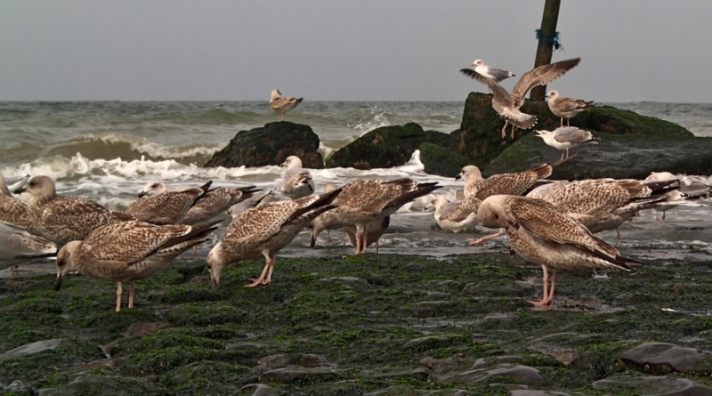 Европейская прелюдия осени в обнимку с фотоаппаратом!
