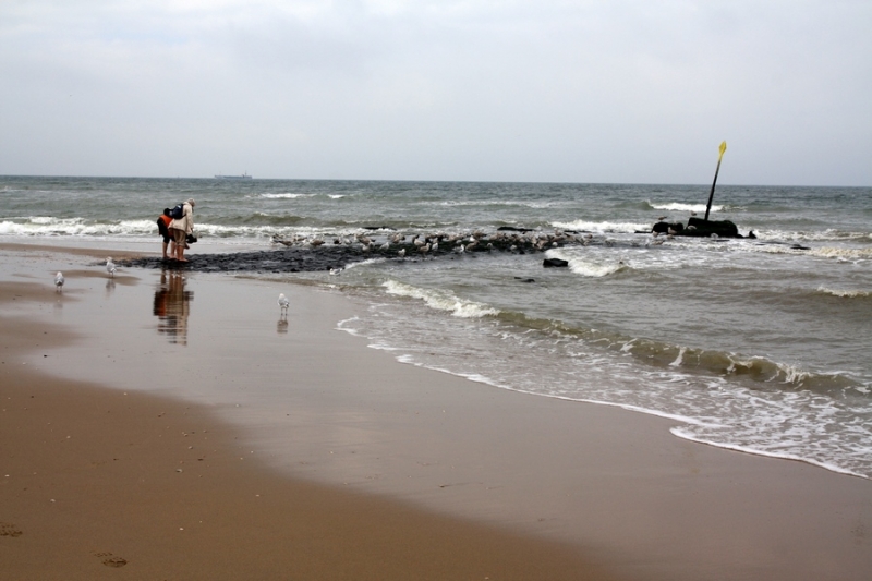 Европейская прелюдия осени в обнимку с фотоаппаратом!